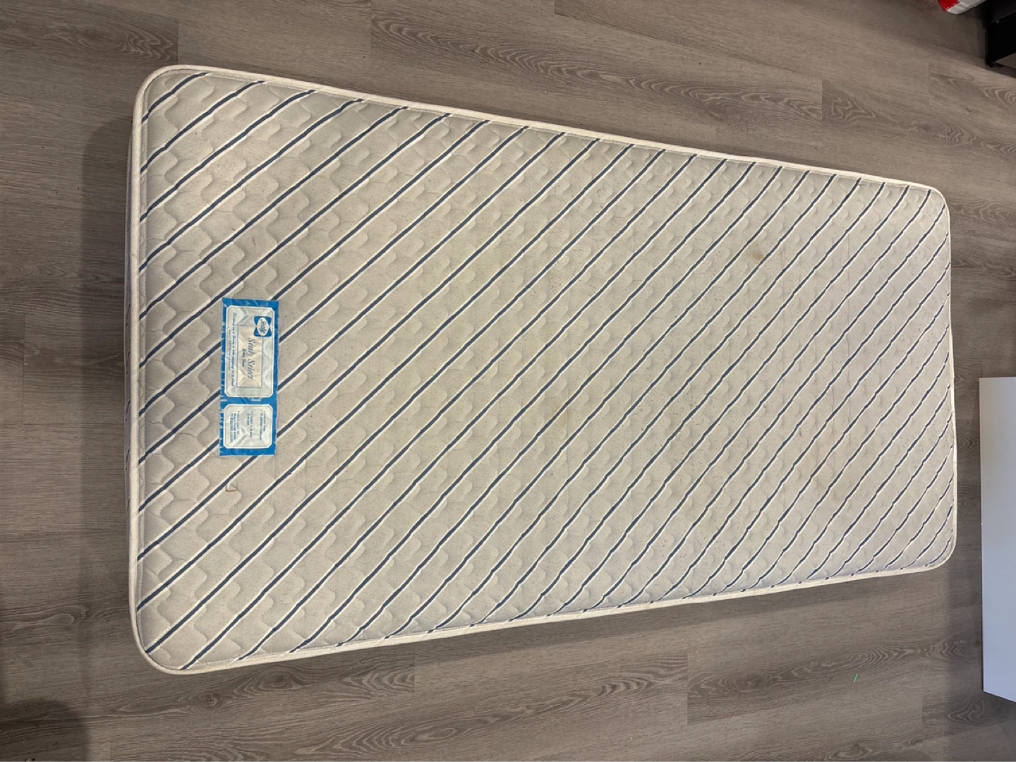 Sealy Select Twin Mattress with Bugs Bunny Sheets