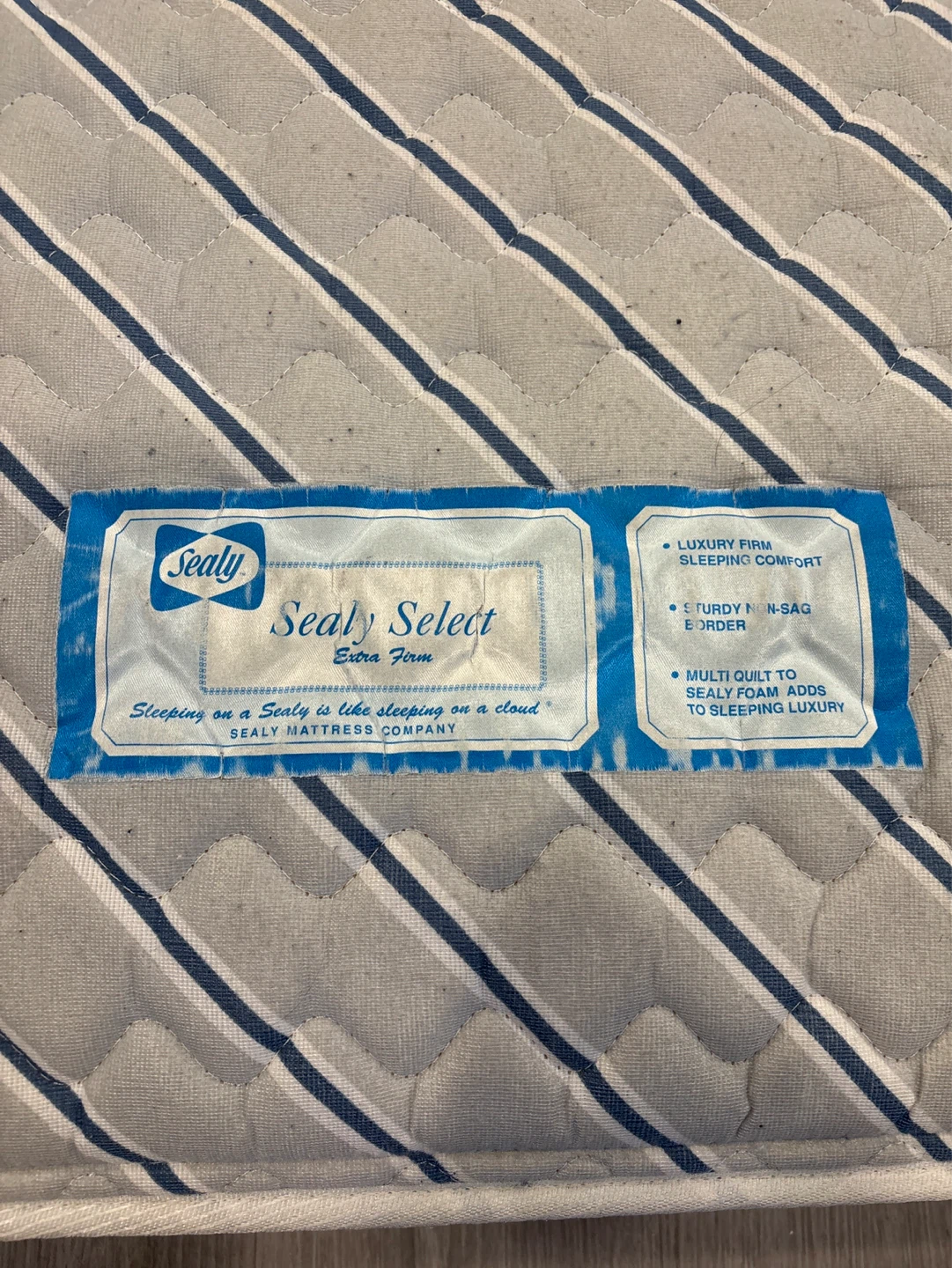 Sealy Select Twin Mattress with Bugs Bunny Sheets - photo 2