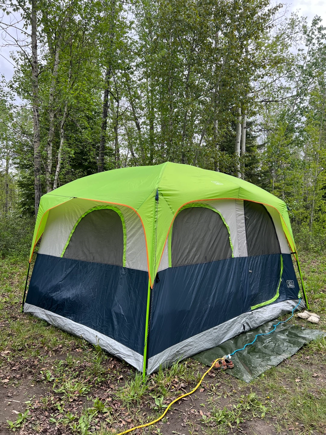 6person  cabin tent