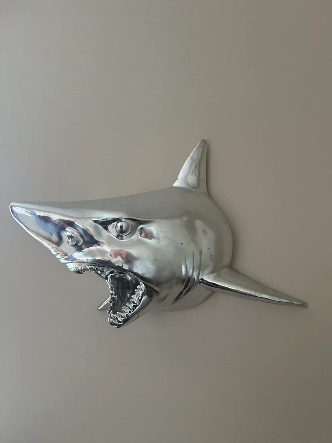 Silver T-Rex and/or Silver Shark Head Wall Mount - photo 3