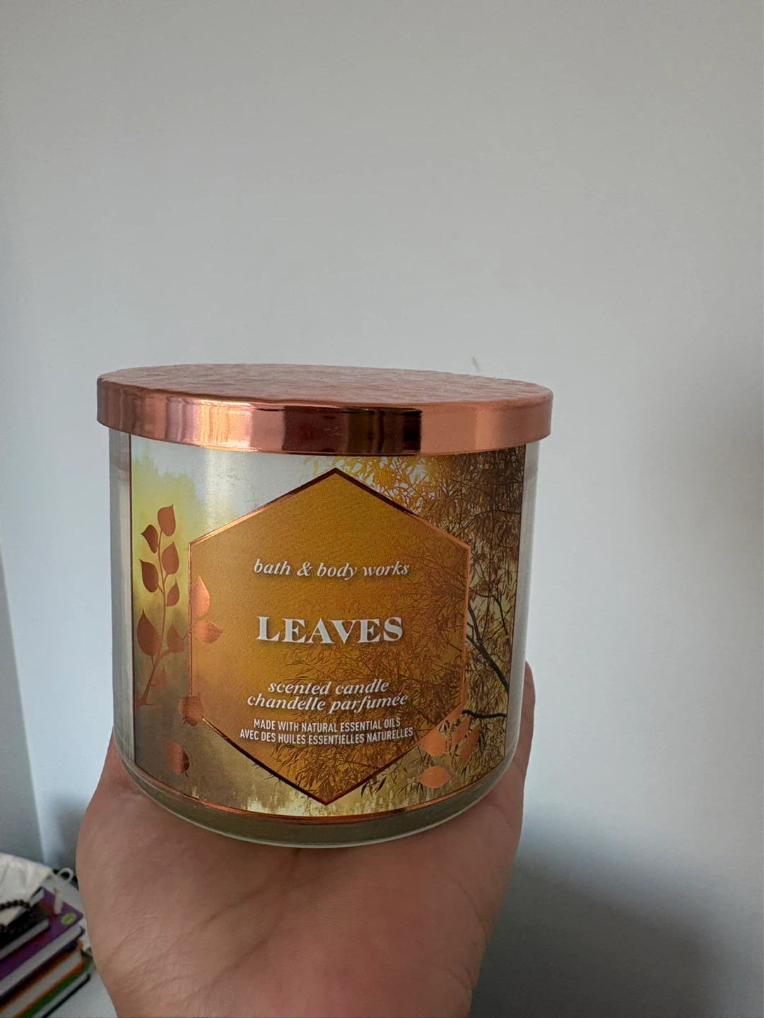Bath & Body Works 3-Wick Scented Candle