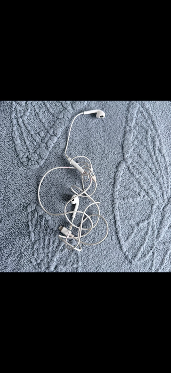 Apple EarPods with Lightning Connector