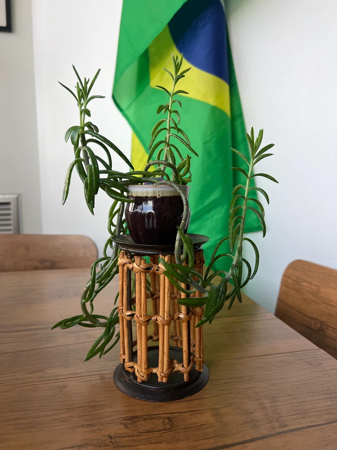 Hanging Succulent Plant in Ceramic Pot with Rattan Stand - photo 2