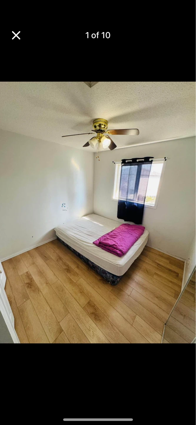 Private Room Available on Rental