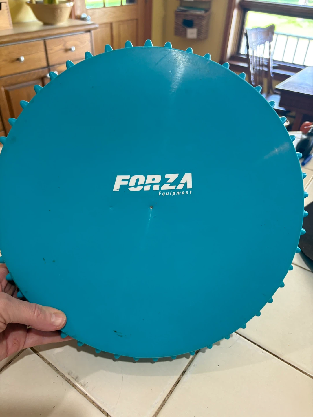 Small Forza Equipment Balance Ball - photo 2