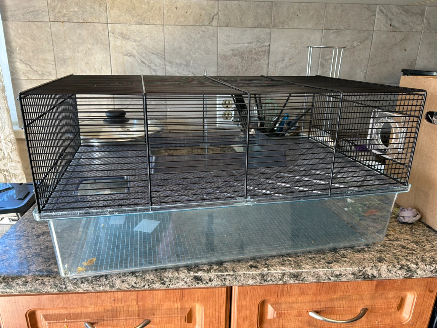 Hamster cage with clear base and middle level flooring