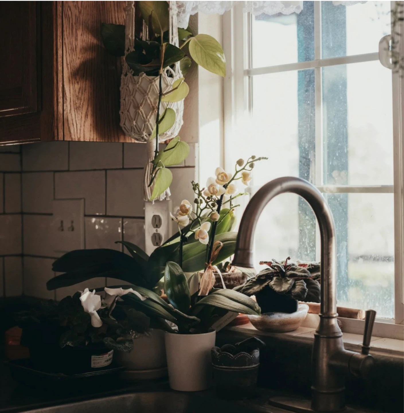 Professional Cleaning in Nepean