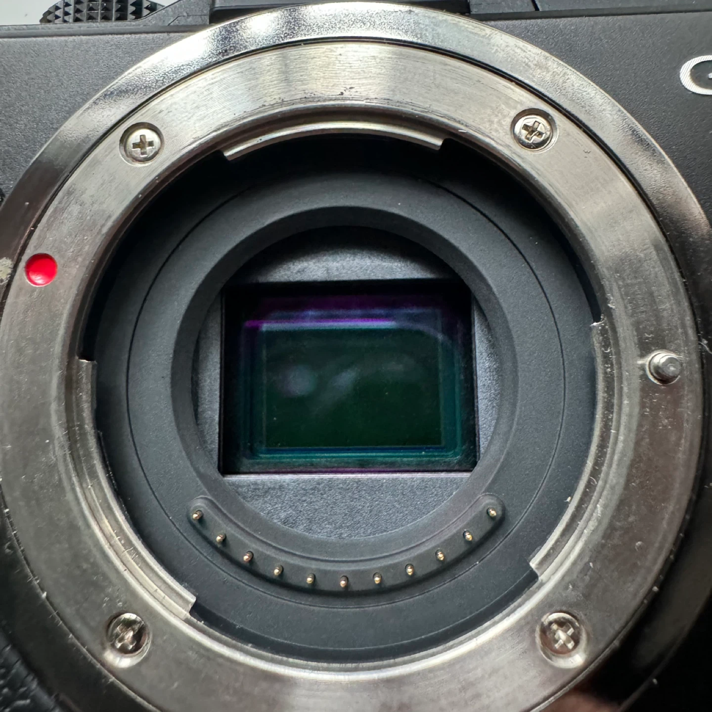 Panasonic Lumix GX1 + 20mm f1.7 II - photo 4