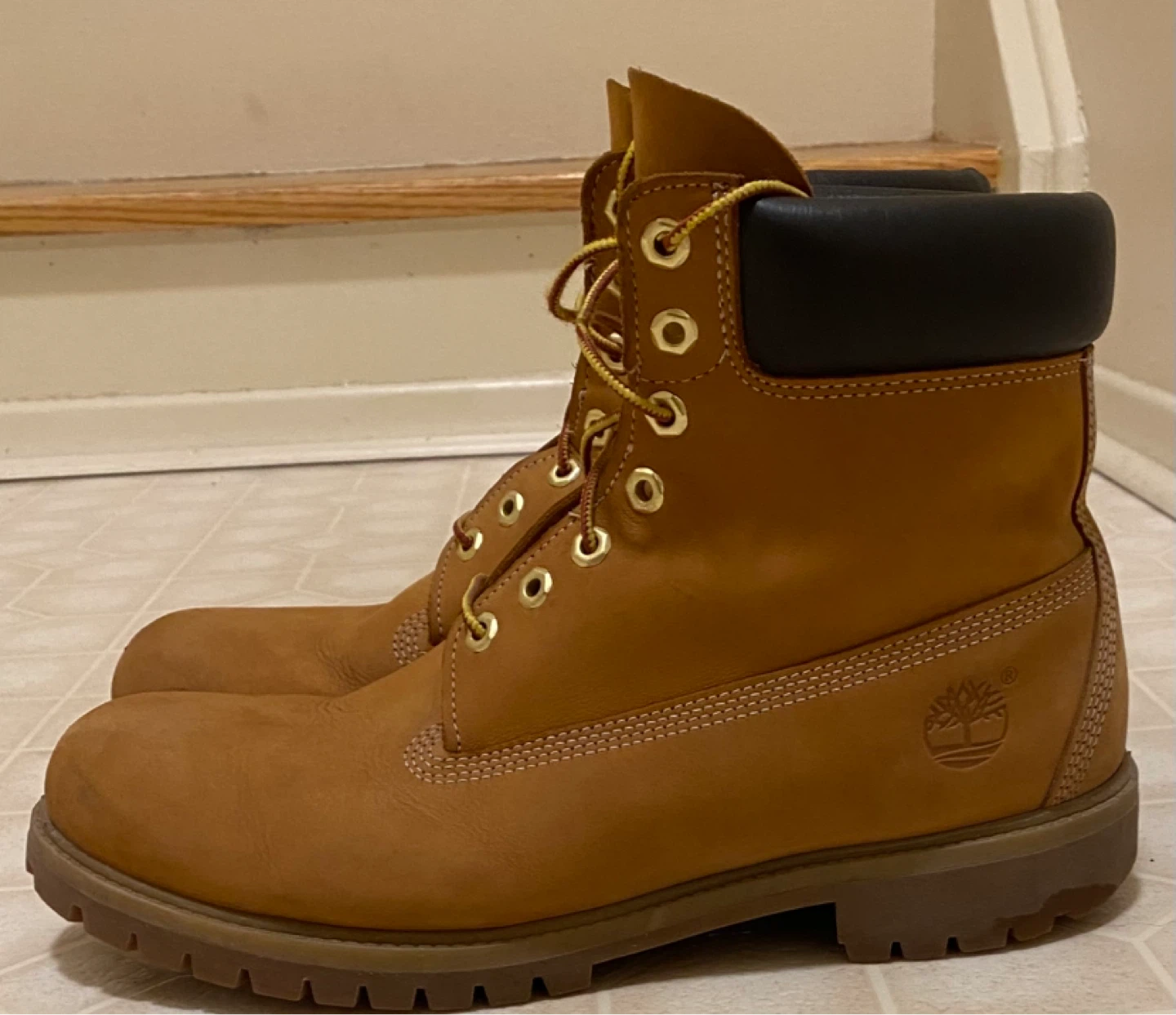 Size 12 Wheat Timberlands