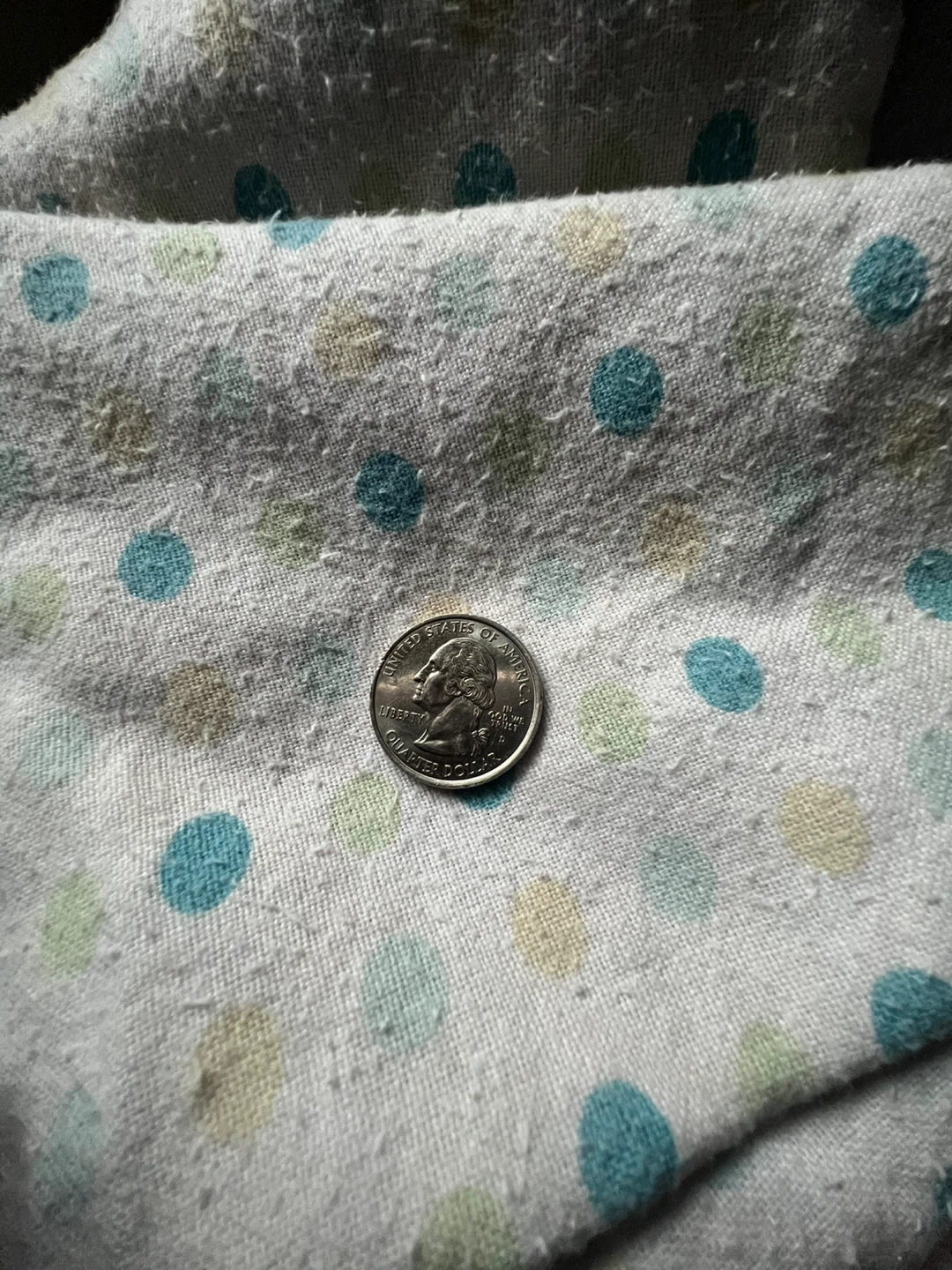 Kentucky State Quarter 2001 - photo 2