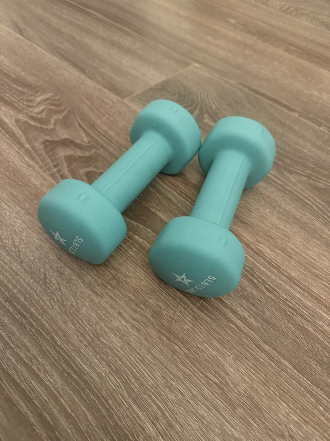 Two Dumbbells (5 lb each)