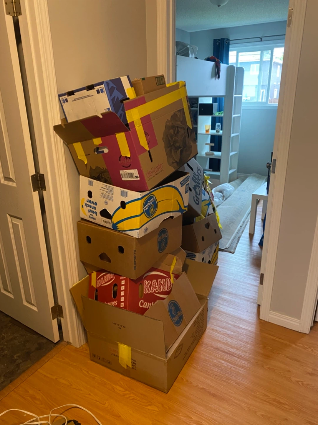 Moving boxes