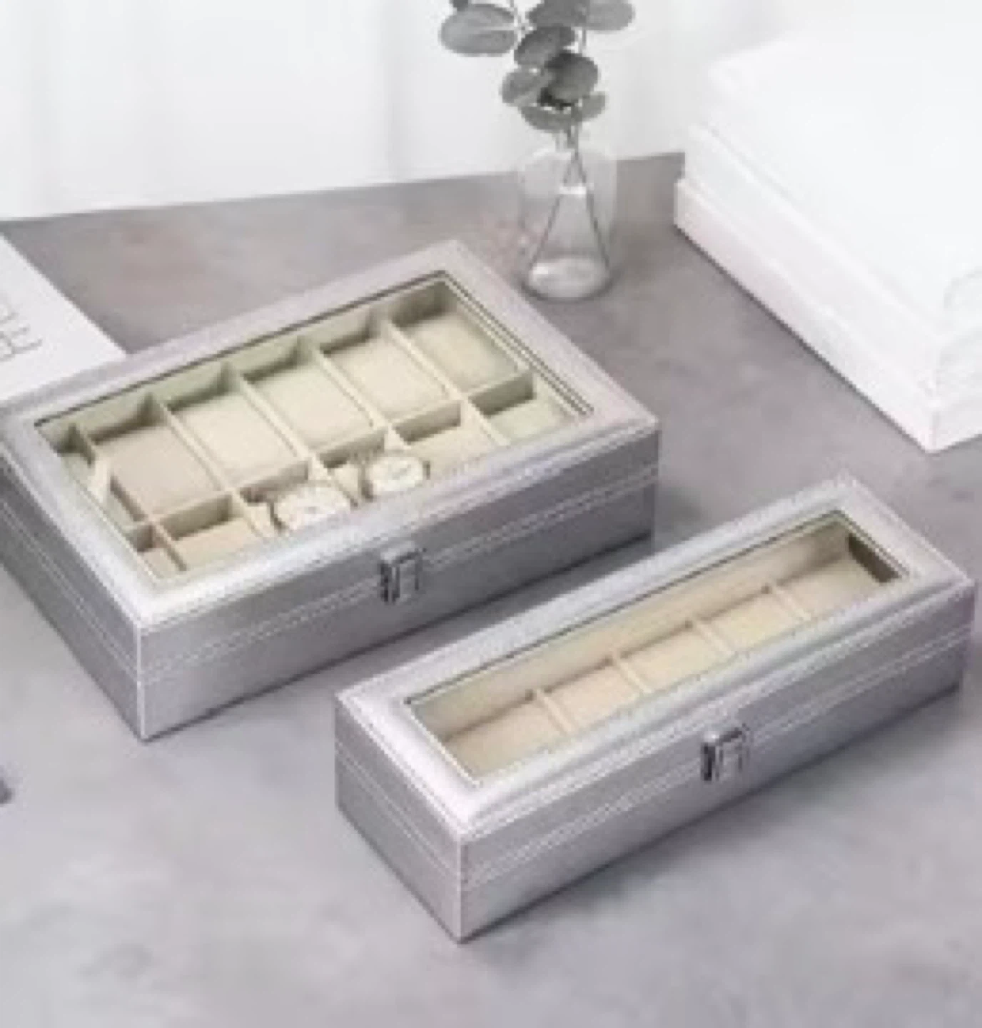 Silver 6-Slot Watch Display Box with Glass Lid