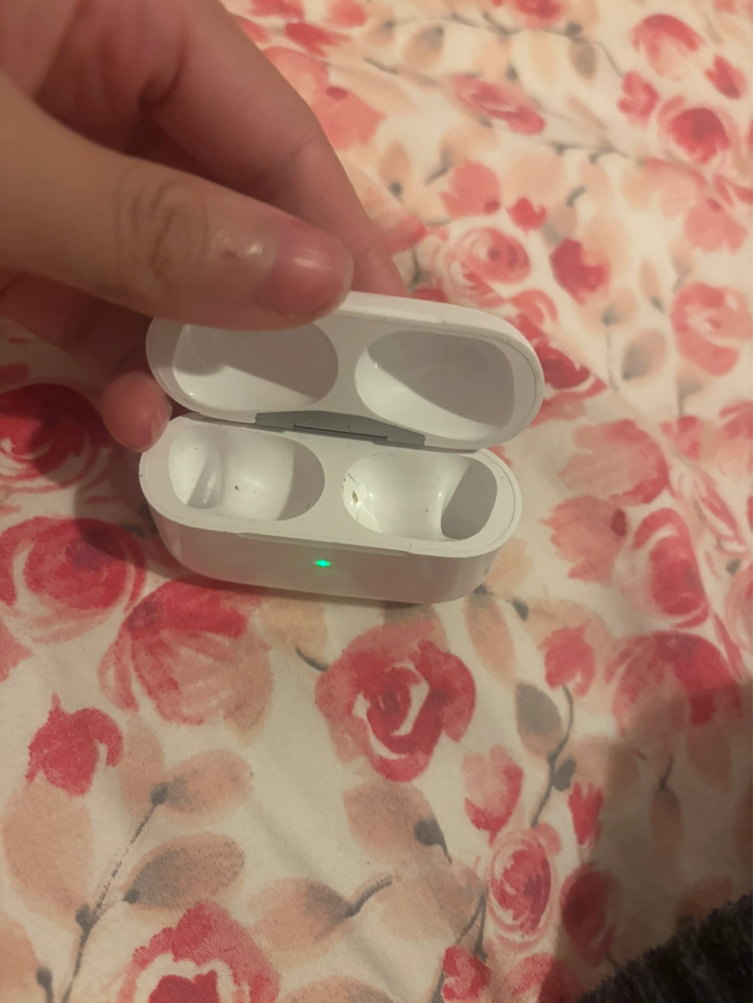 Apple AirPods Pro Charging Case - photo 3