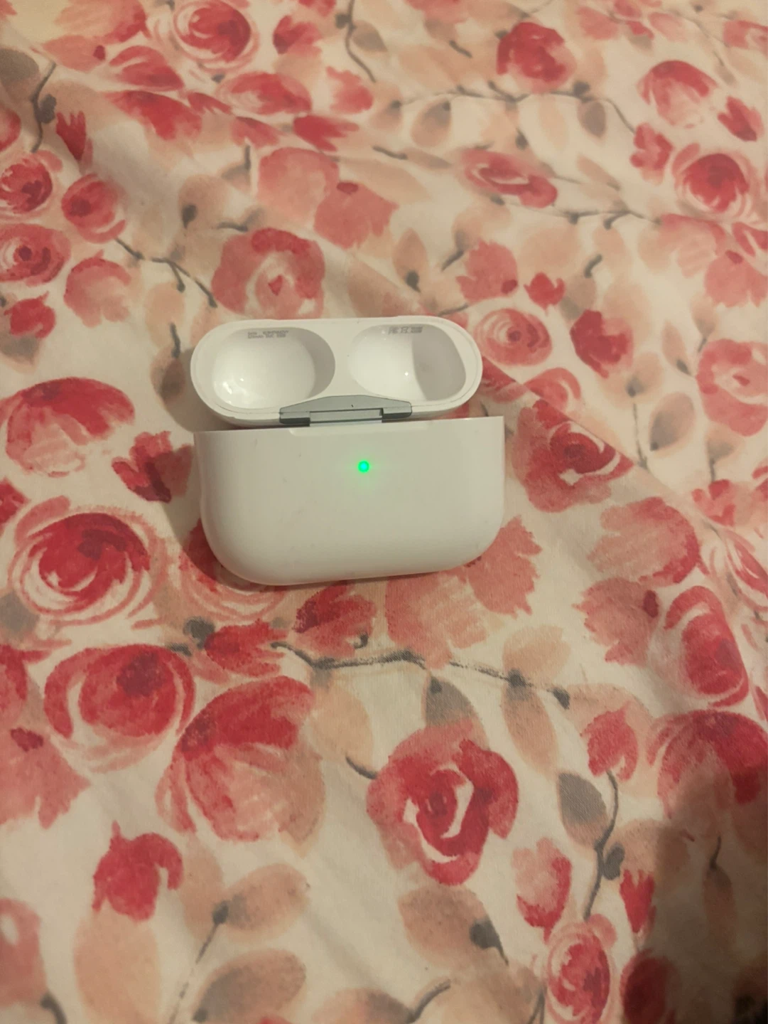 Apple AirPods Pro Charging Case - photo 2
