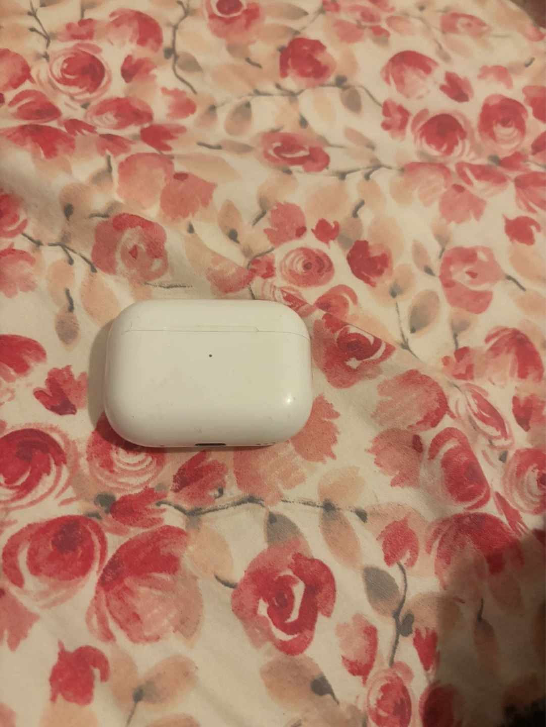 Apple AirPods Pro Charging Case