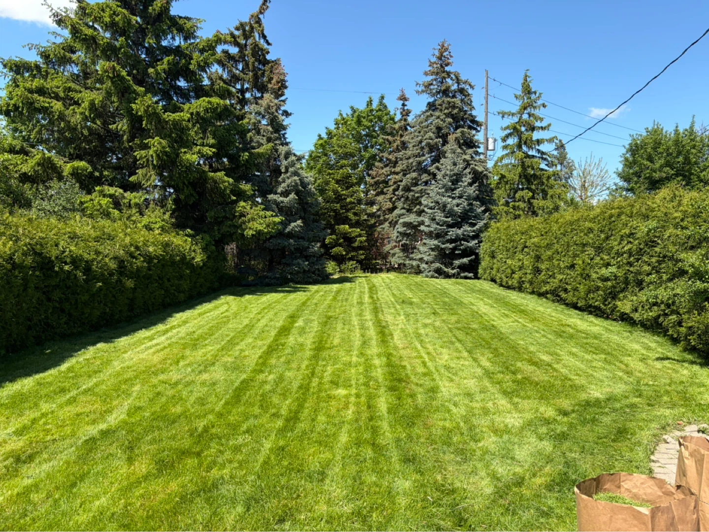 Landscaping Service Available - photo 2
