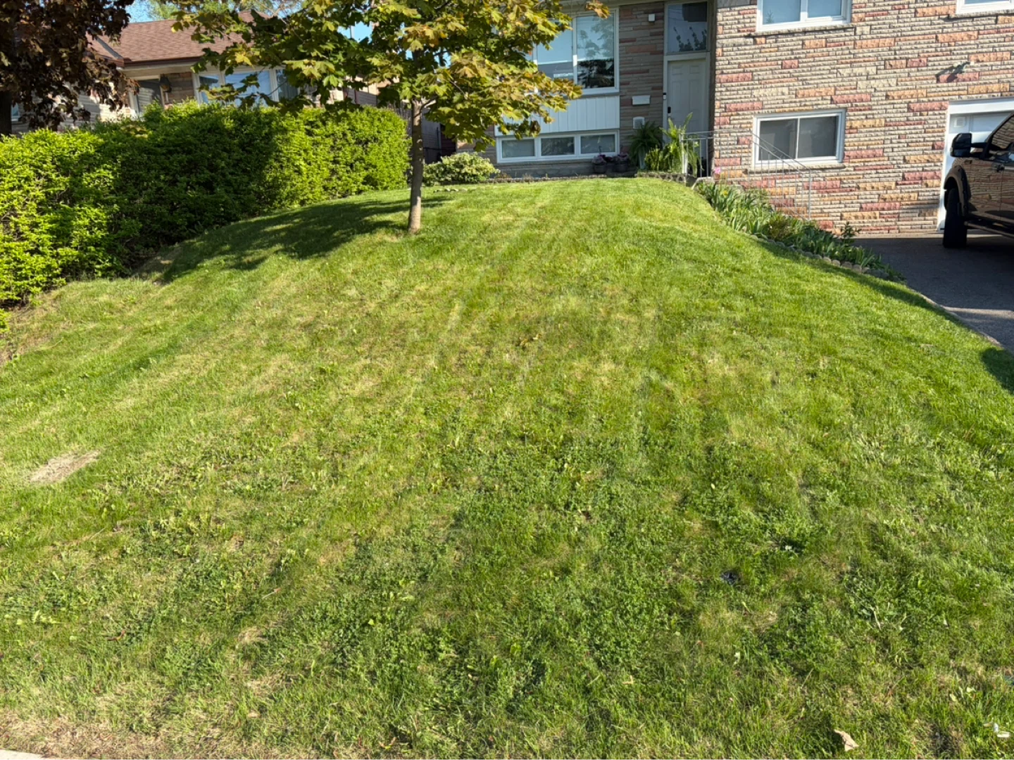 Landscaping Service Available - photo 4