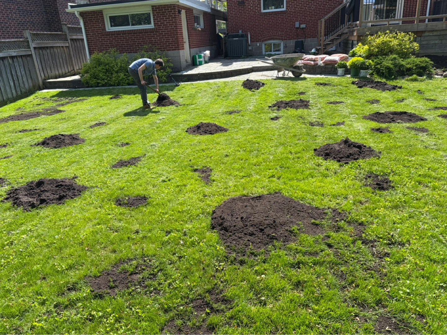 Landscaping Service Available - photo 3
