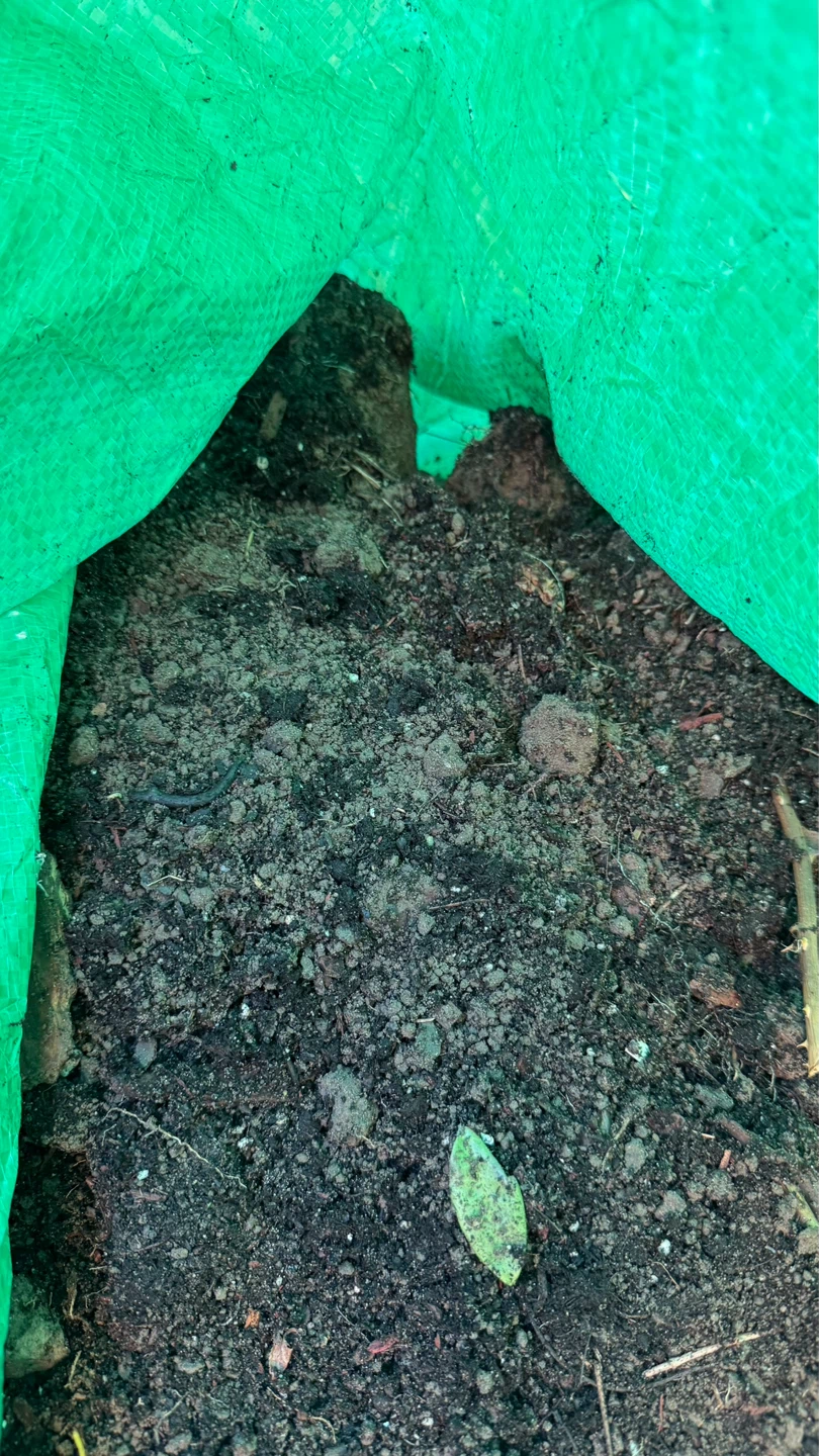 Free Garden Soil — You Pick Up