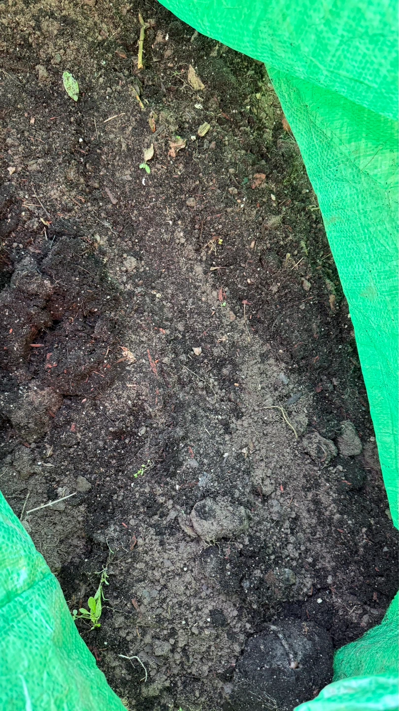 Free Garden Soil — You Pick Up - photo 3