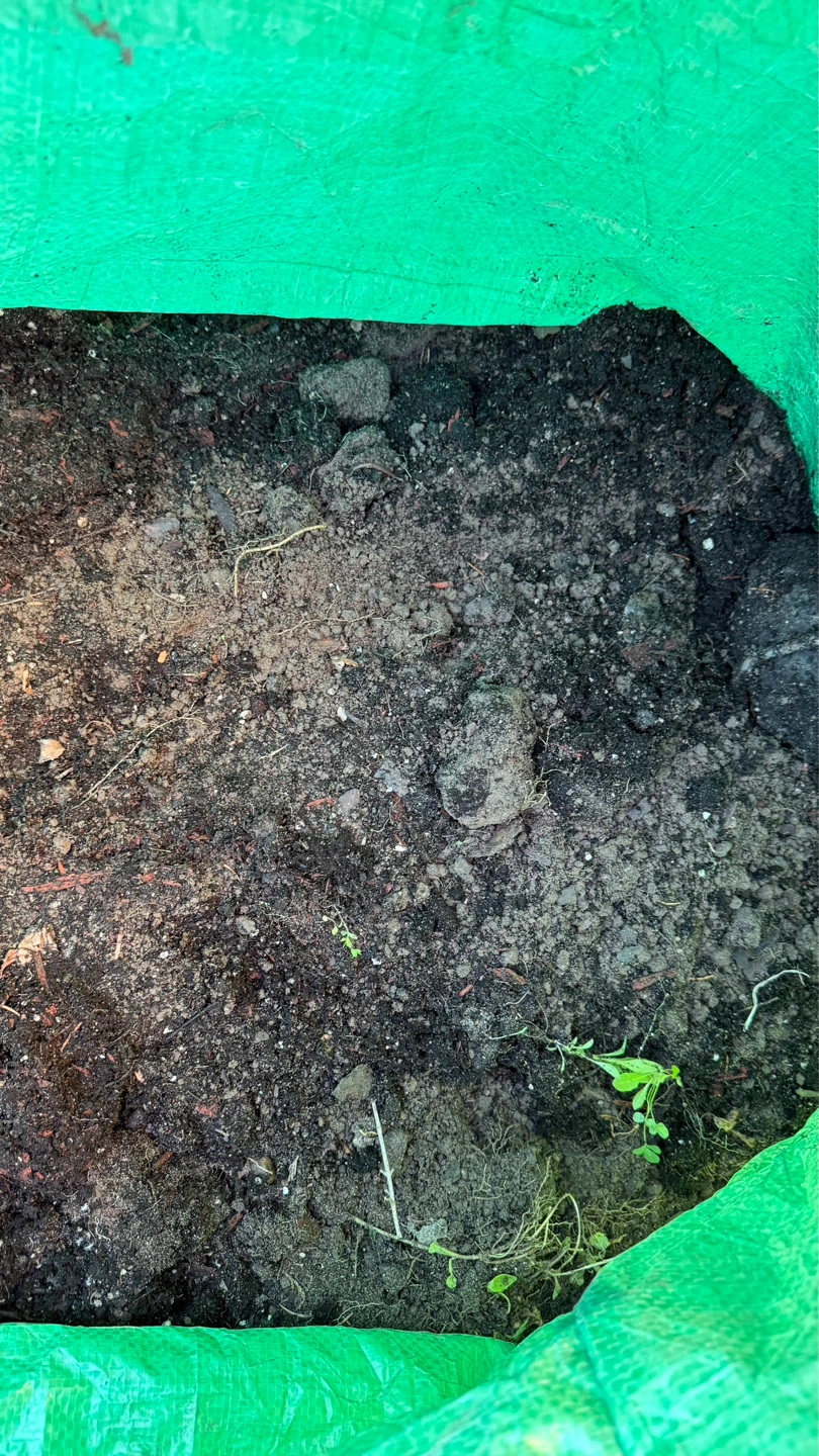 Free Garden Soil — You Pick Up - photo 2