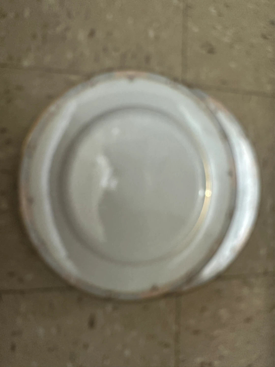 White Dinner Plate with Silver Rim