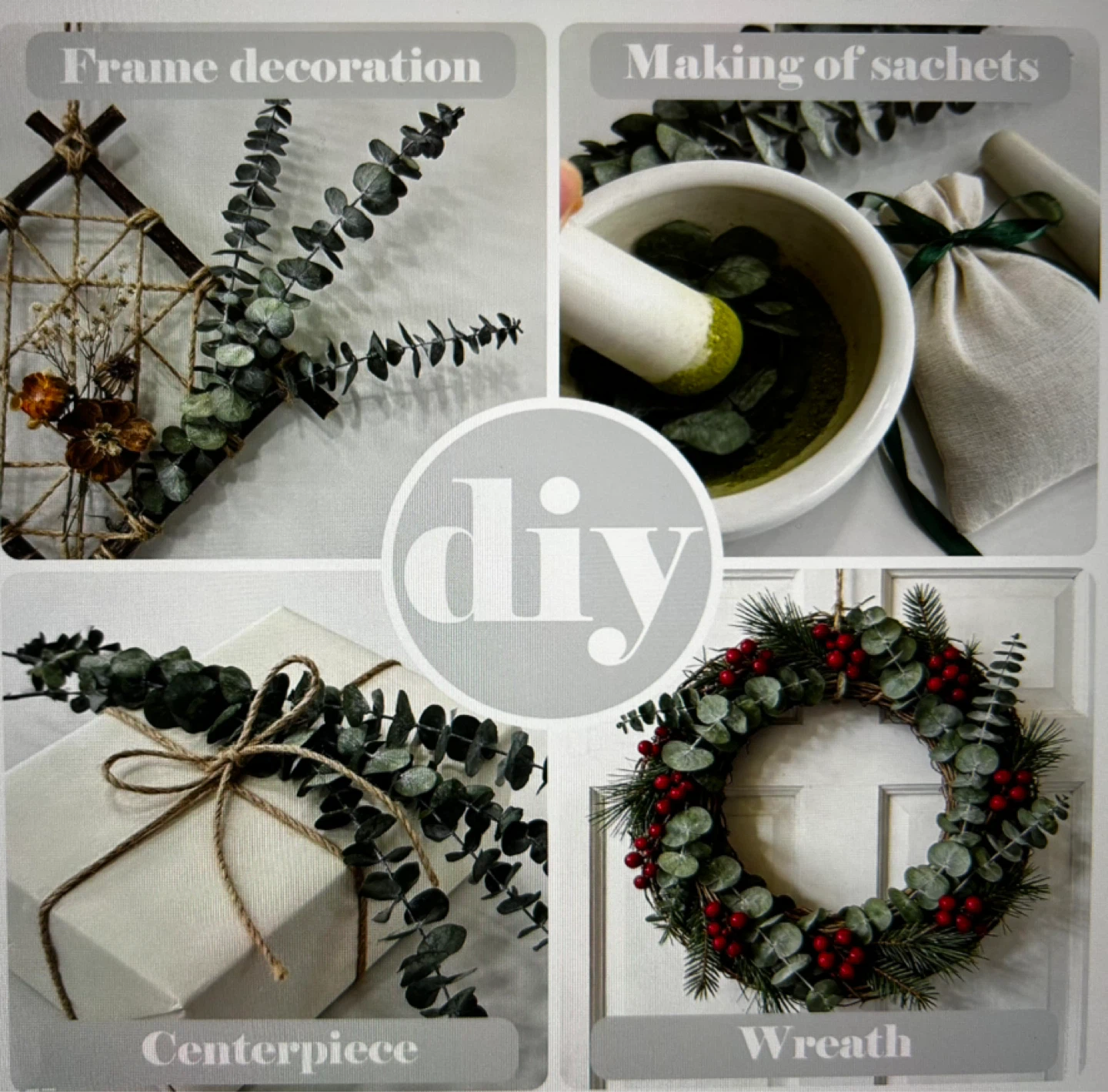 Dried Eucalyptus Stems - photo 5
