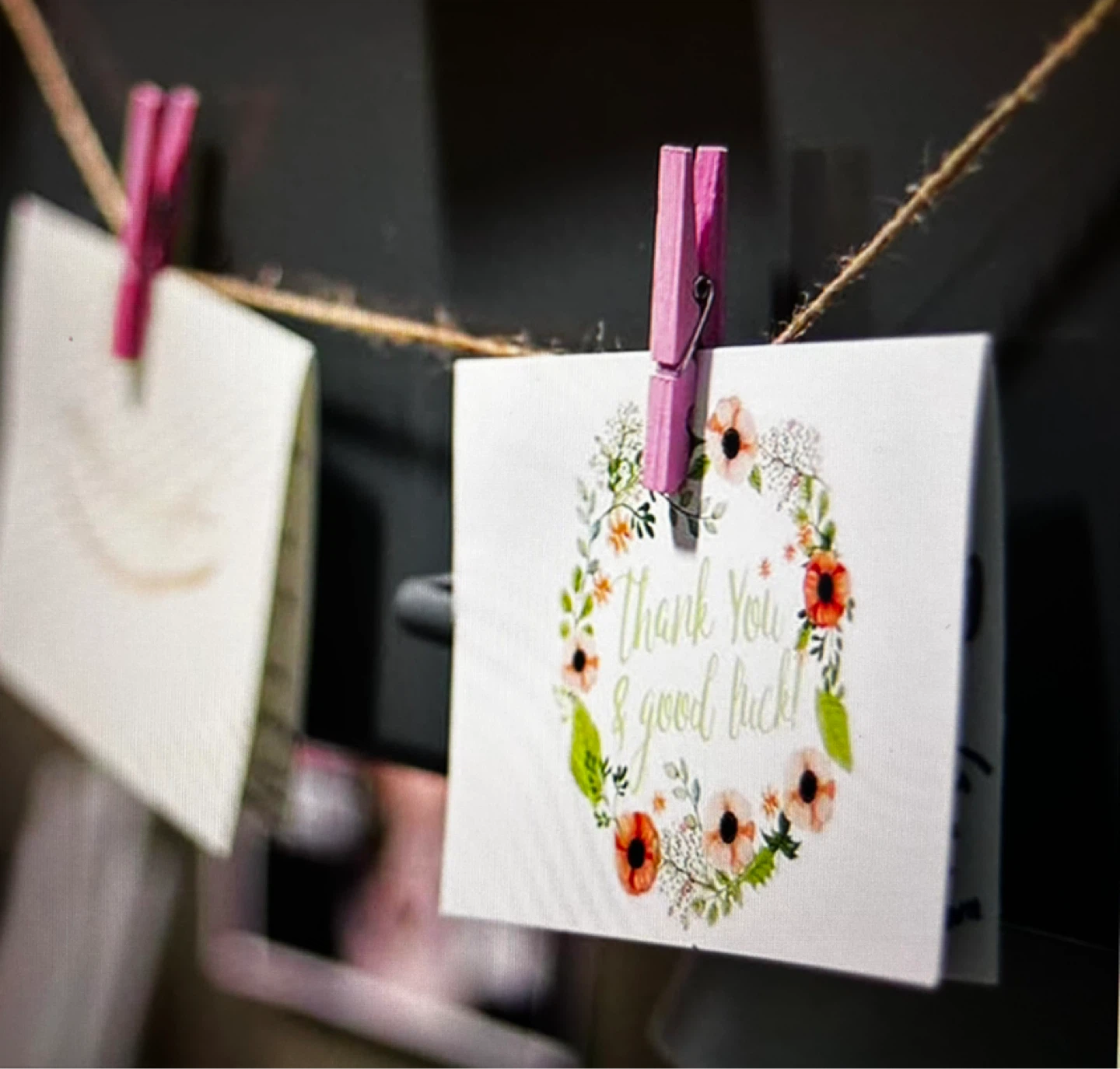 Colored Wooden Clothespins - photo 4