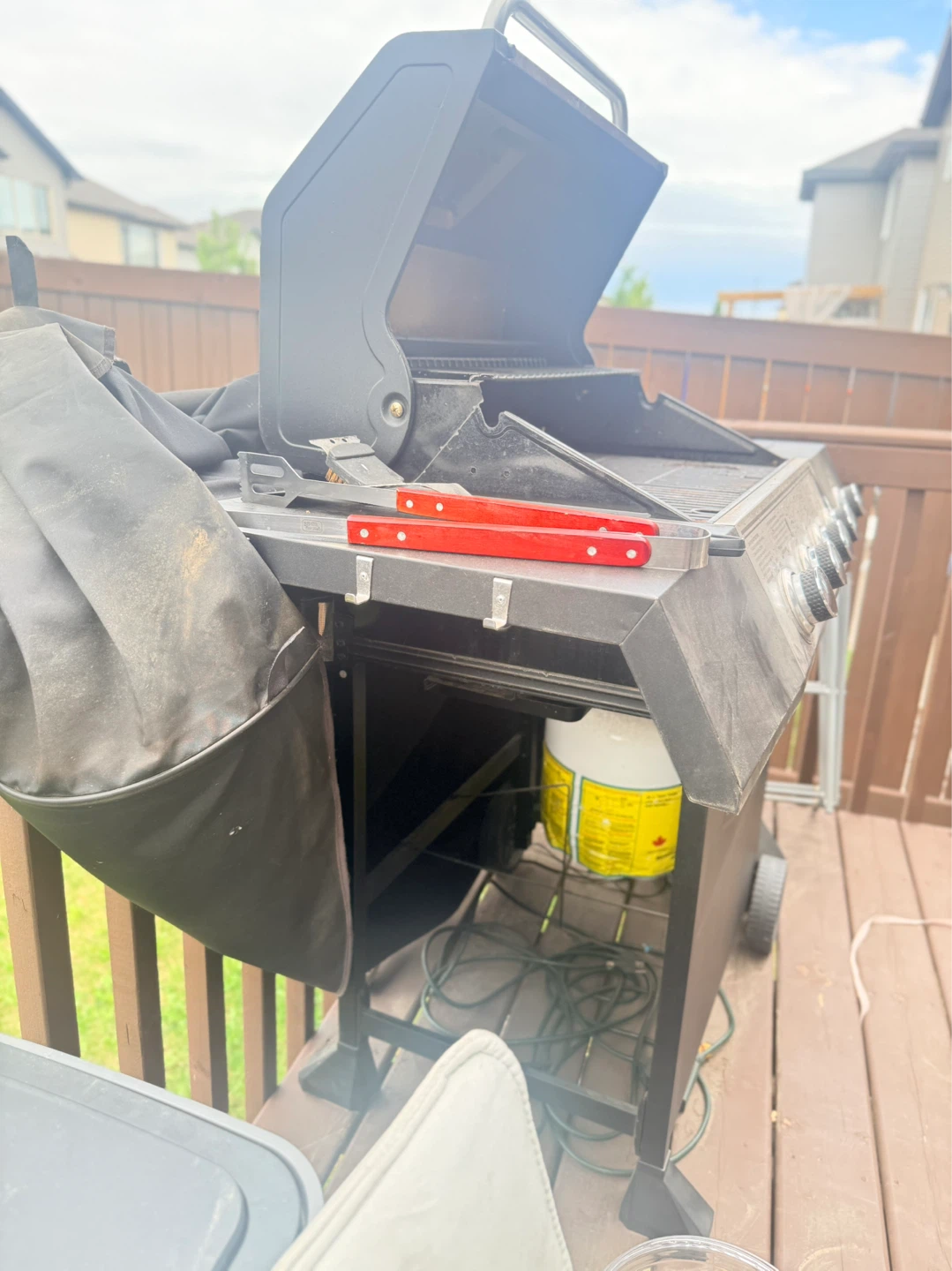 Expert Grill BBQ - photo 2