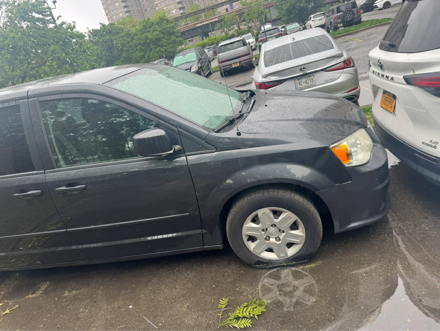 Dodge Grand Caravan Minivan