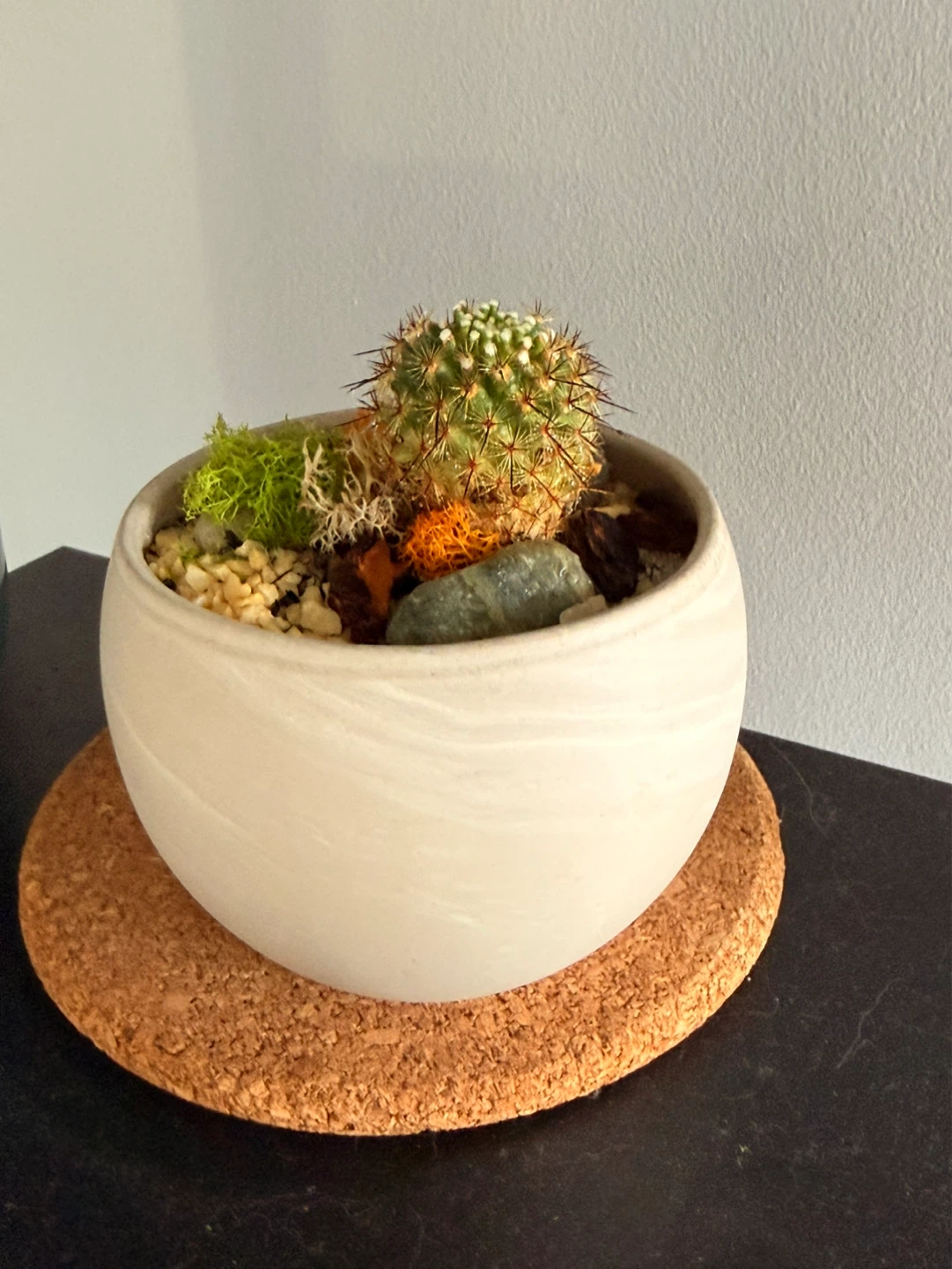 Cactus Terrarium in Ceramic Pot