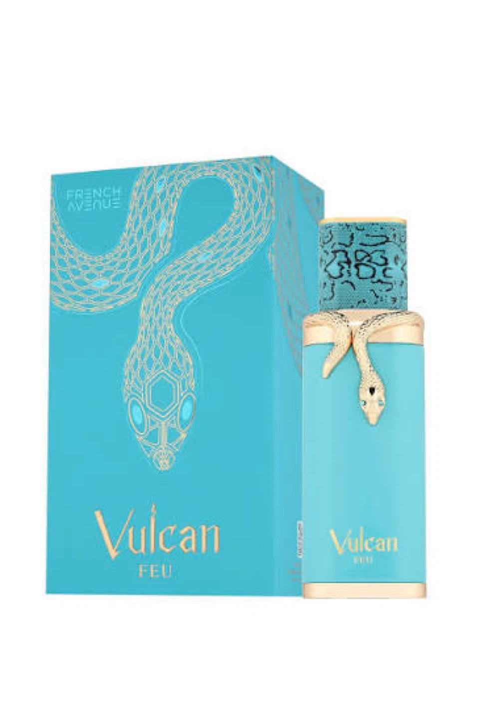 LOOKING FOR VULCAN FEU