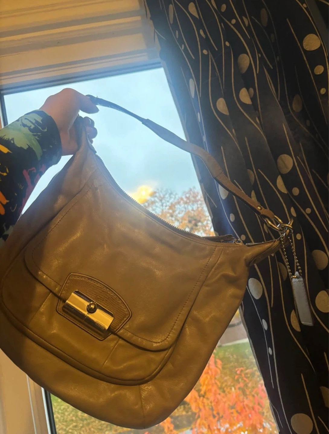 Coach Leather Hobo Purse
