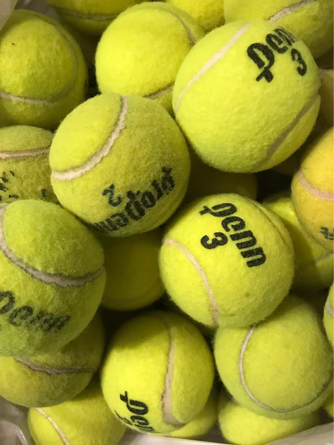 100 Penn Championship Tennis Balls