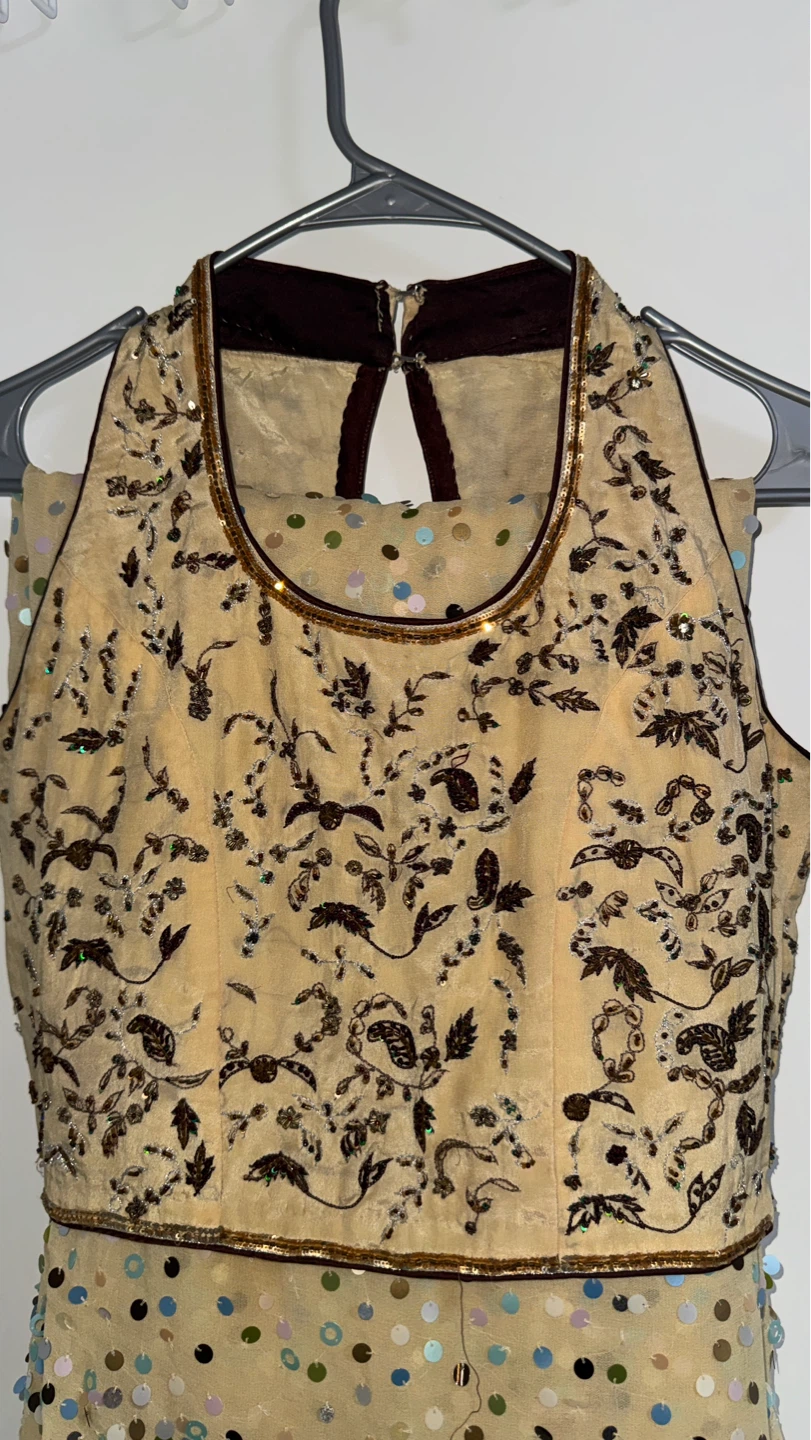 Women's Sequined sarree