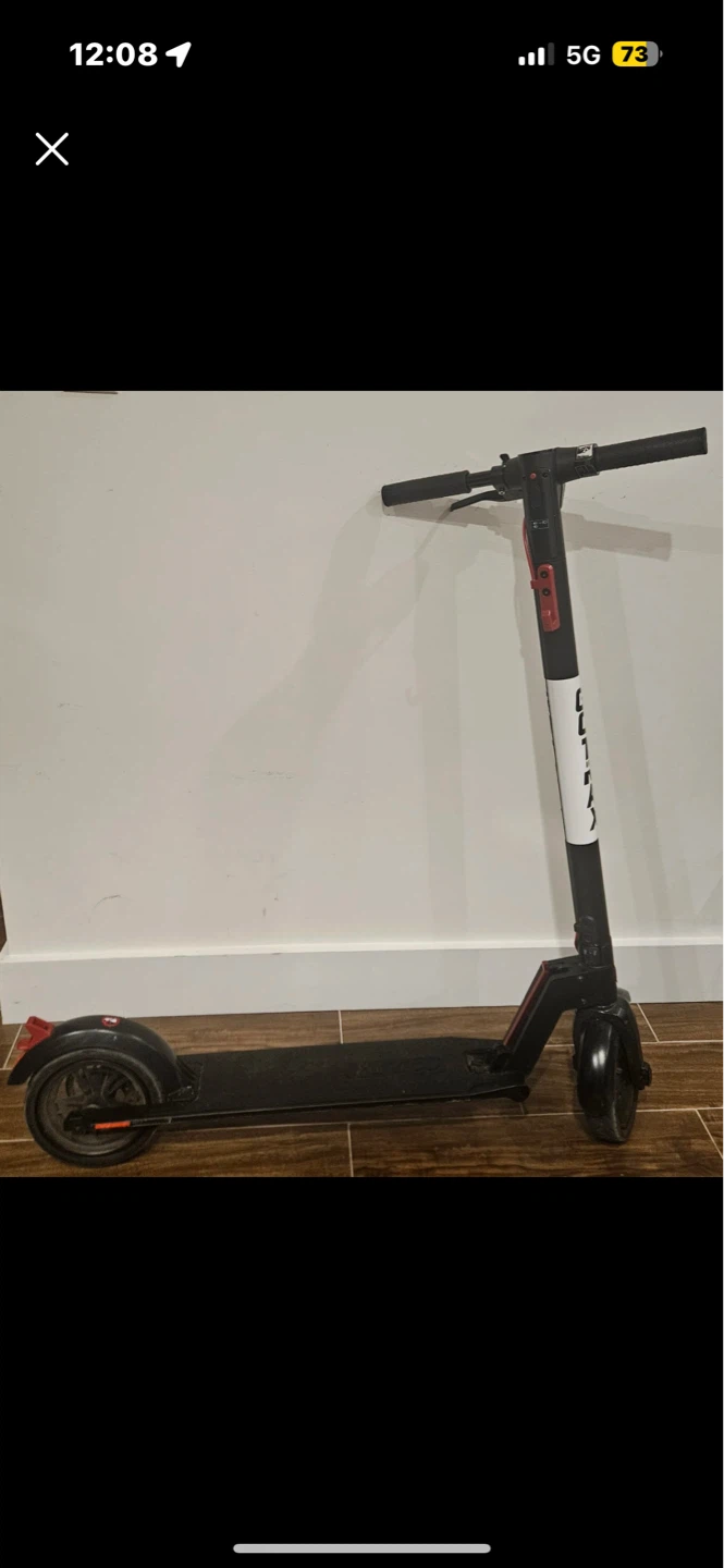 Bird Electric Scooter