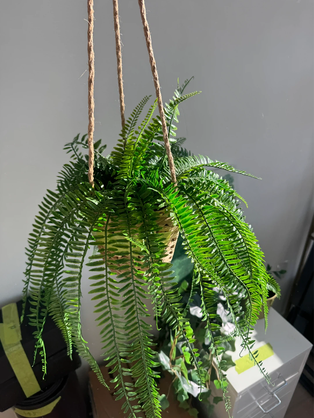 Artificial Hanging Fern Plant * 3