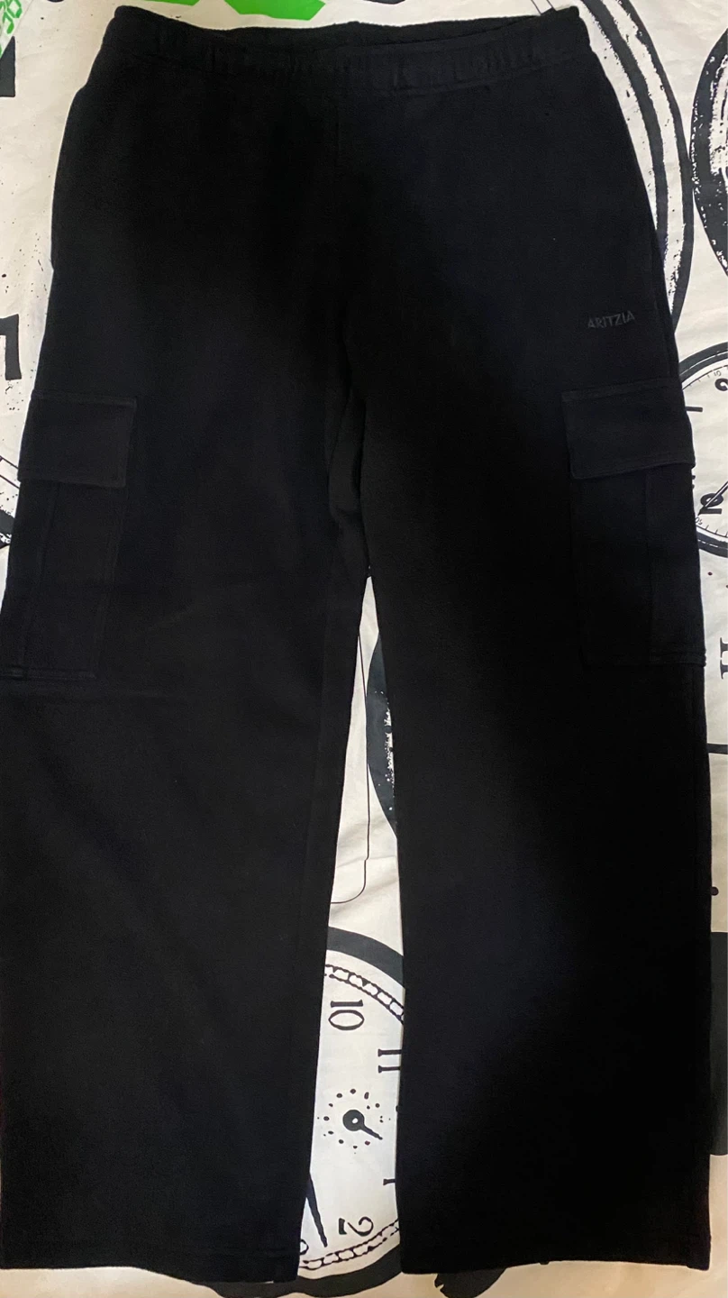 ARITZIA Black Cargo Sweatpants