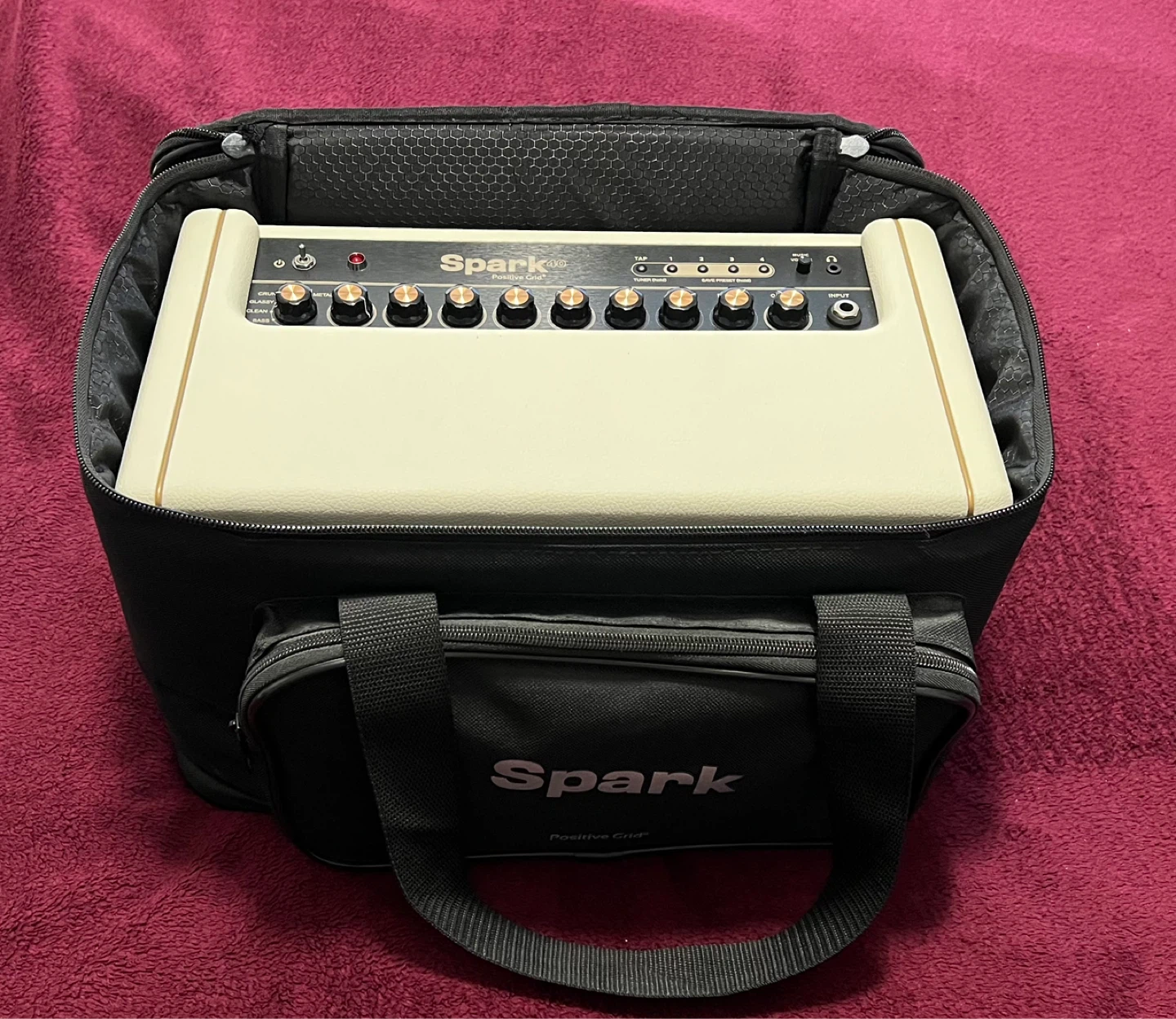 Positive Grid Spark Guitar Amplifier with Gig Bag
