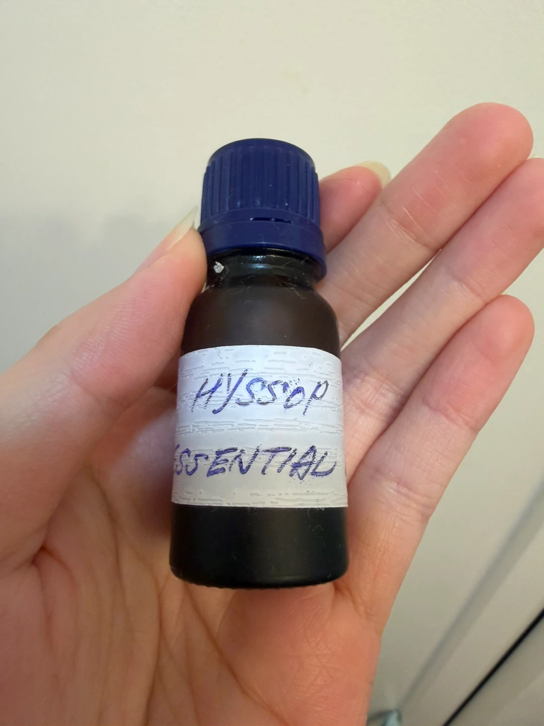 Hyssop essential oil