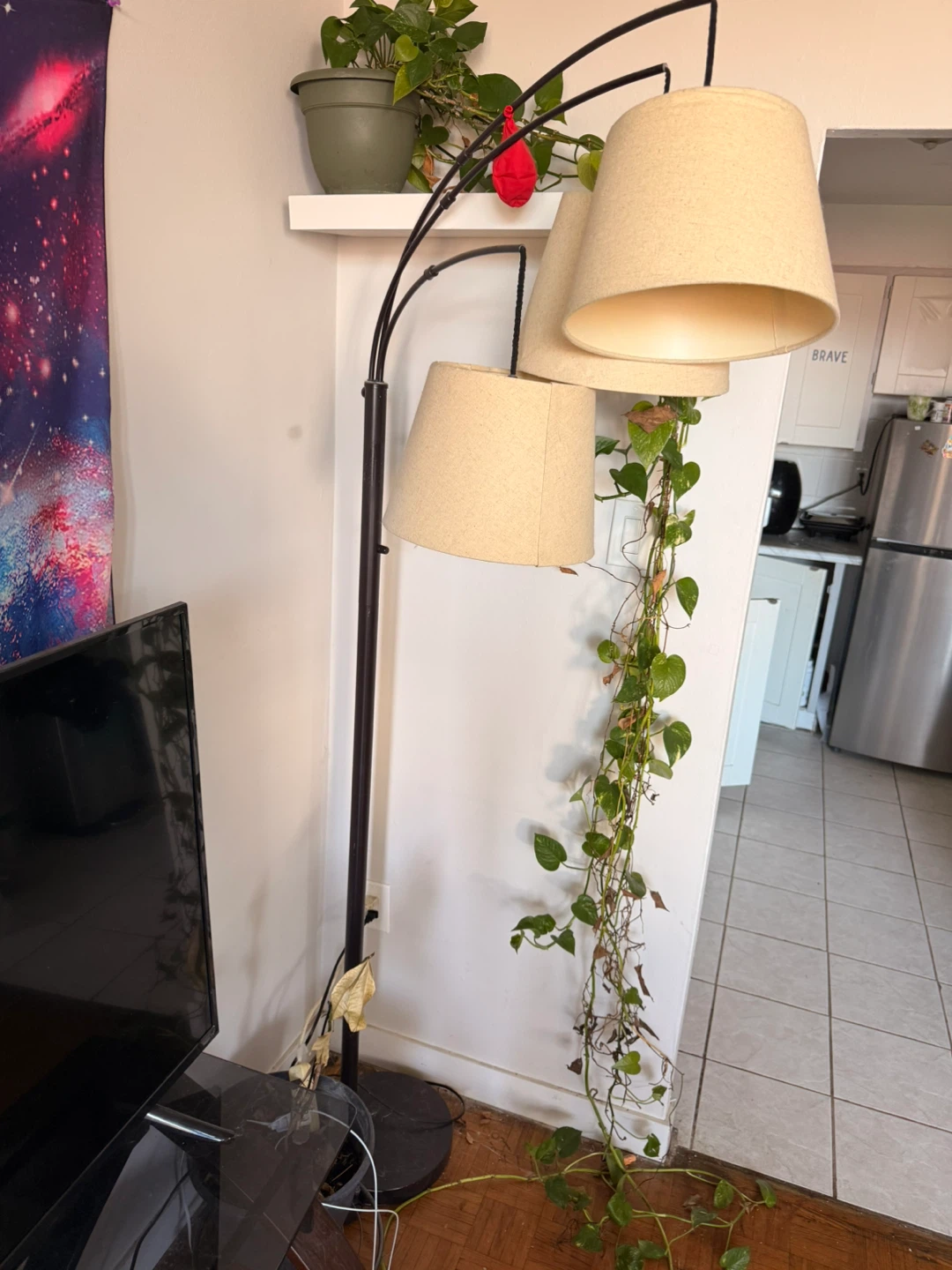 Arc Floor Lamp with 3 Shades