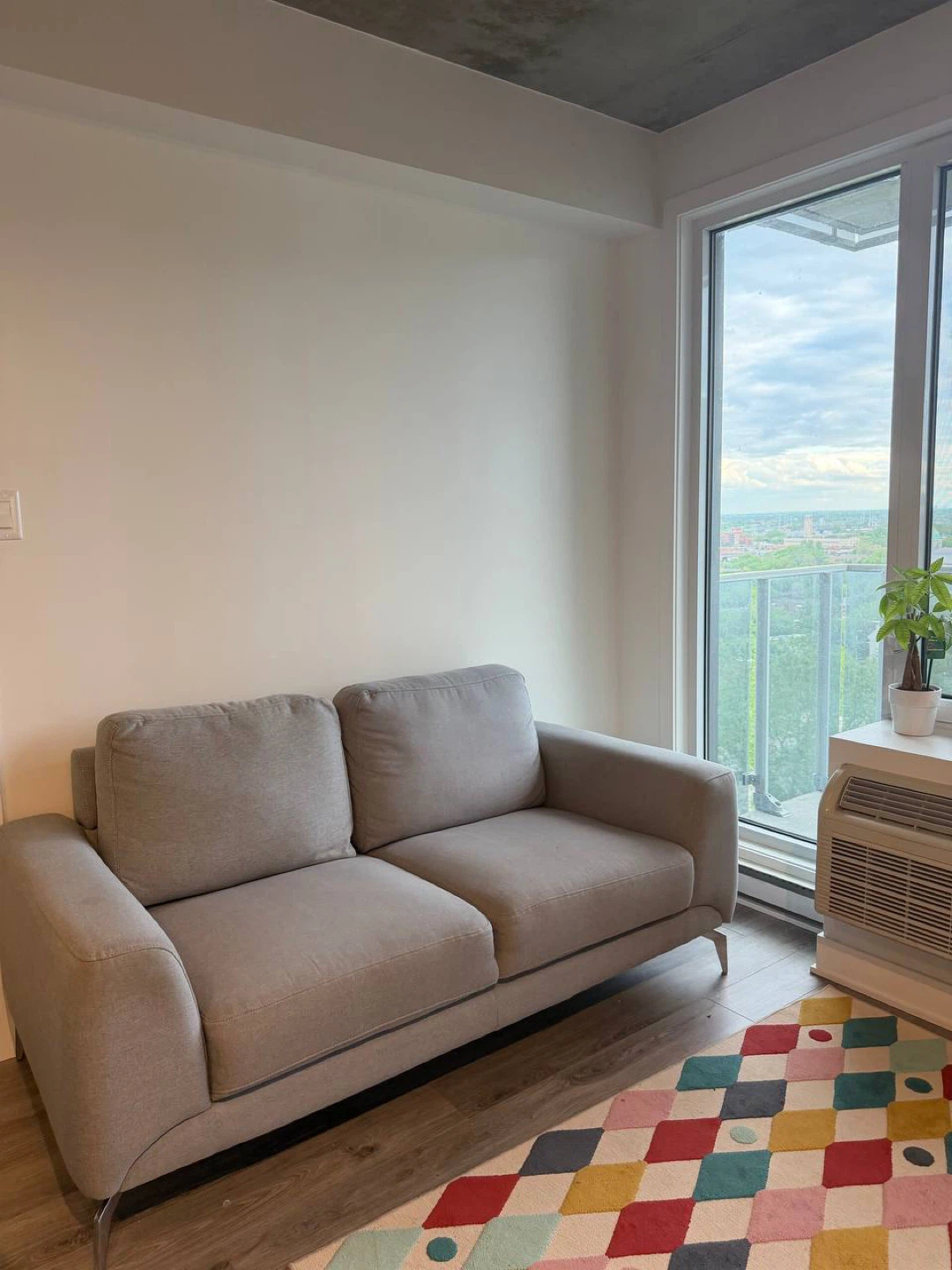 Modern Light Gray Sofa Set - 2-Seater + Armchair - $250