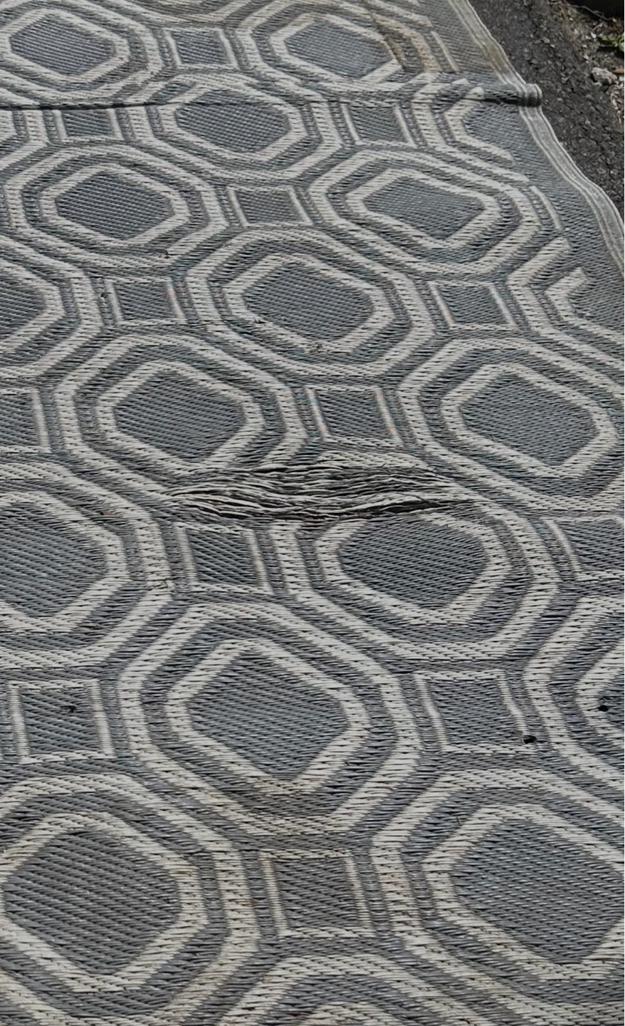 Outdoor Area Rug - photo 3