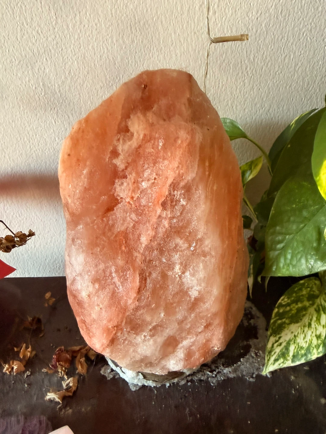 Himalayan Salt Lamp