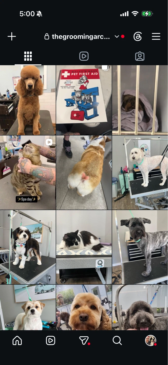 Dog grooming