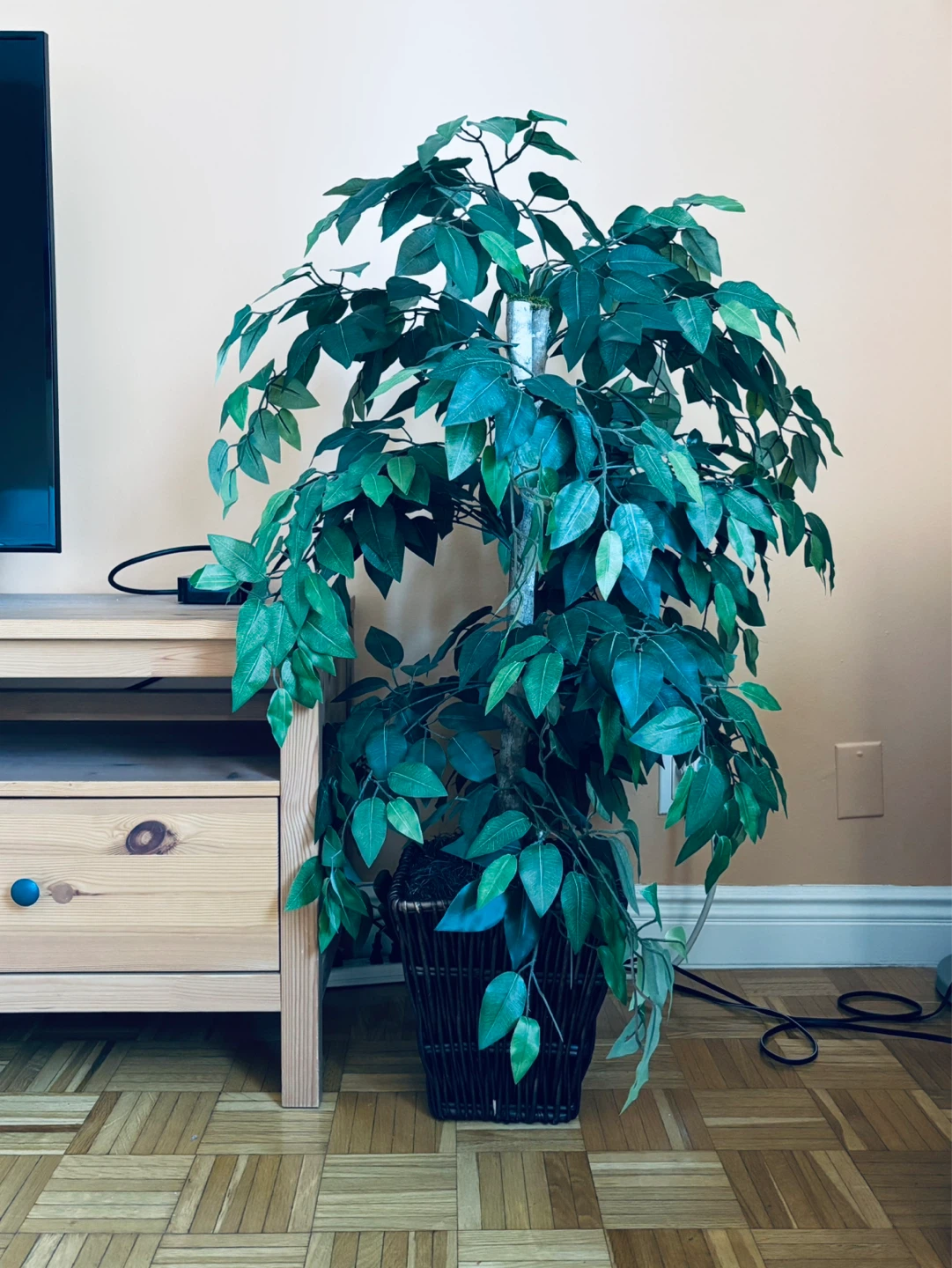 Artificial Ficus Tree in Wicker Pot