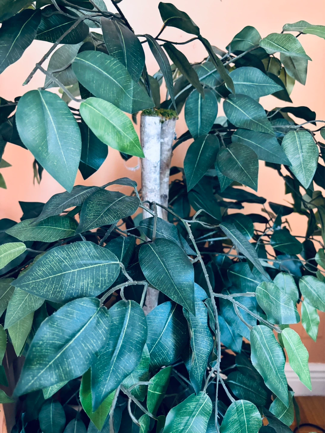 Artificial Ficus Tree in Wicker Pot - photo 2