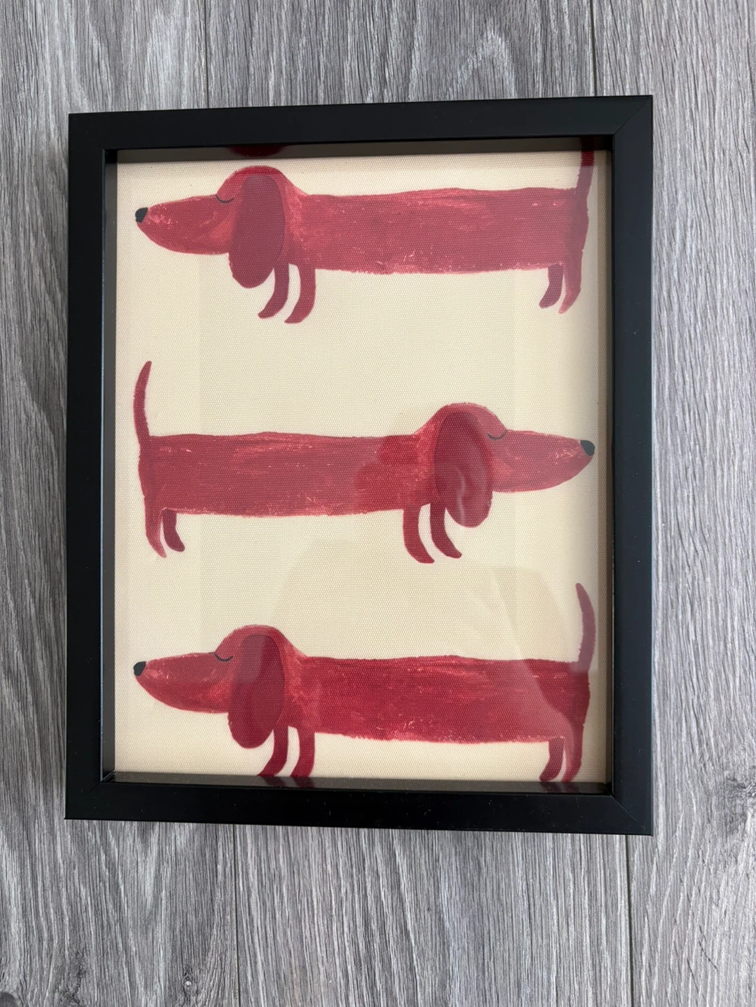 Framed Dachshund Print