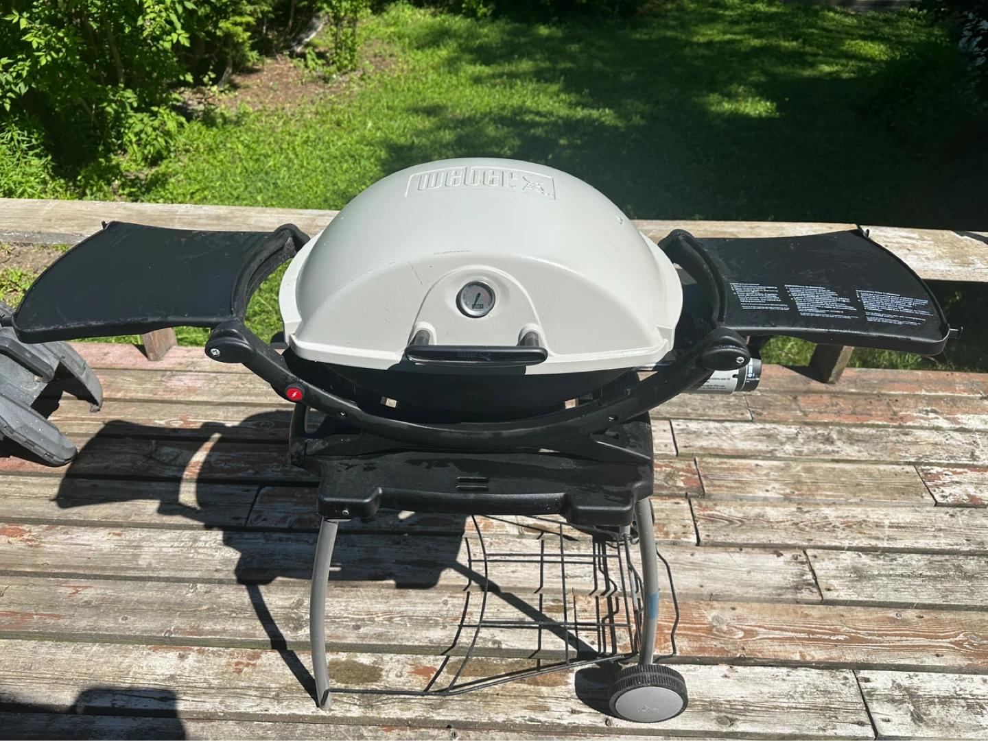Weber Q Portable Propane Grill